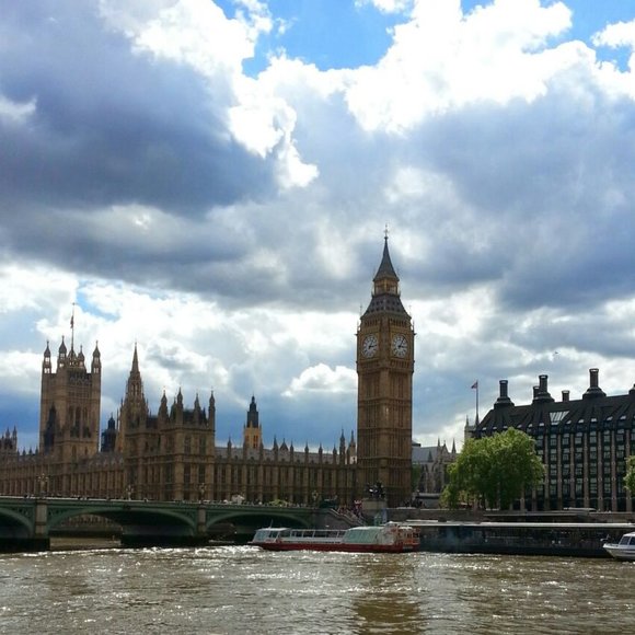 Meet your Posher, Tommy - Picture 1 of 1